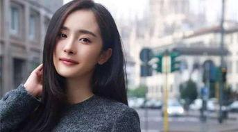 明星娱乐账号,揭秘明星娱乐账号背后的精彩故事